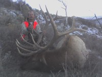 SCORE:334 3/8
SPREAD:39.5
ANTLERS:6X6
