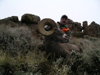 SCORE:169 4/8
LEFT HORN:34 3/8
RIGHT HORN:36 3/8
