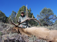 SCORE:393 6/8
ANTLERS:6x6
