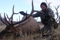 SCORE:265 1/8
SPREAD:35 1/2
ANTLERS:5x5
