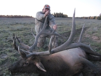 SCORE:376
 SPREAD:50
 ANTLERS:7x7
  