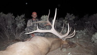 SCORE:347
 SPREAD:43
 ANTLERS:5 x 6
  