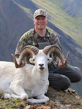 Alaska Range and Wrangell's Mountains Dall Sheep