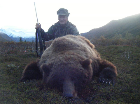 Alaska Peninsula Brown Bear