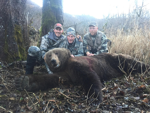 Alaska Peninsula Brown Bear