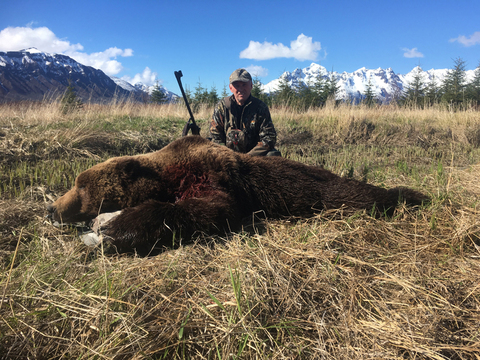 Alaska Peninsula Brown Bear