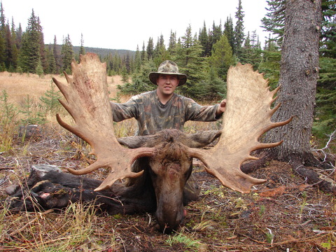 Trophy Canadian Moose Hunt in British Columbia