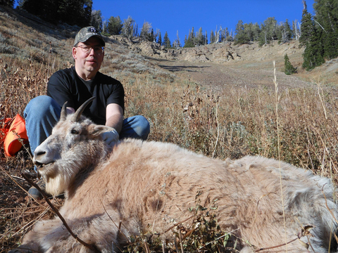 Wyoming Unit 2 Mountain Goat 