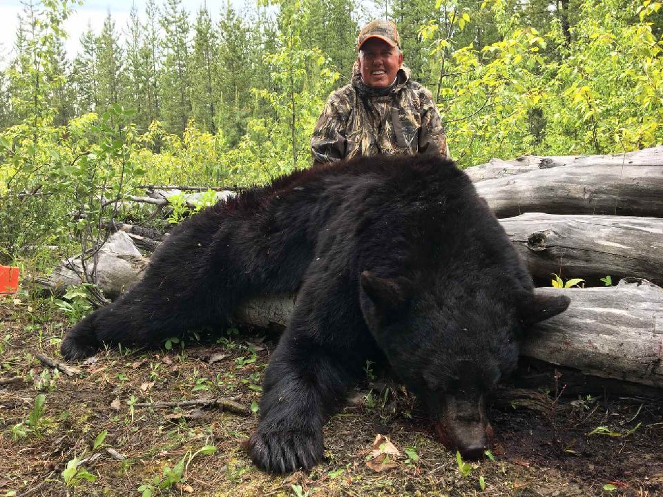 Trophy Quality Black Bear in British Columbia