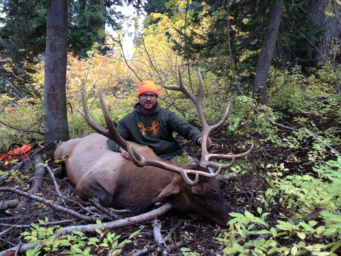 Wyoming Horseback General Area Elk Hunt