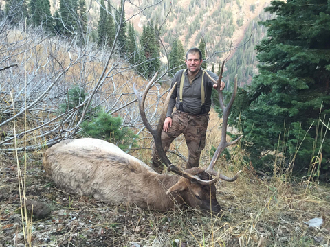 Wyoming Horseback General Area Elk Hunt