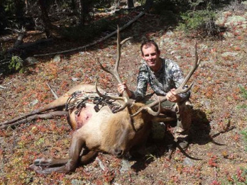 Colorado Gunnison Basin OTC Elk Hunt