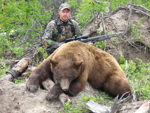 Trophy Quality Black Bear in British Columbia