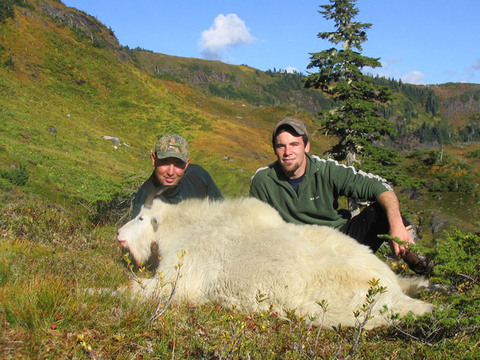 Alaska Over the Counter Mountain Goat Hunt