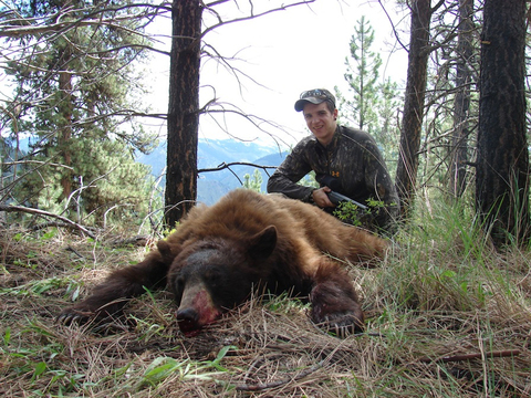 Idaho Black Bear over Bait or behind Hounds