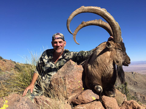 New Mexico Trophy Persian Ibex