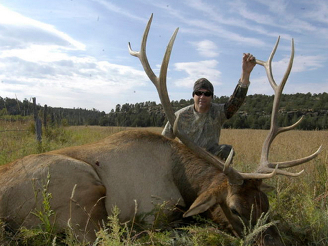 New Mexico Private Land Elk Hunt Guaranteed Tags