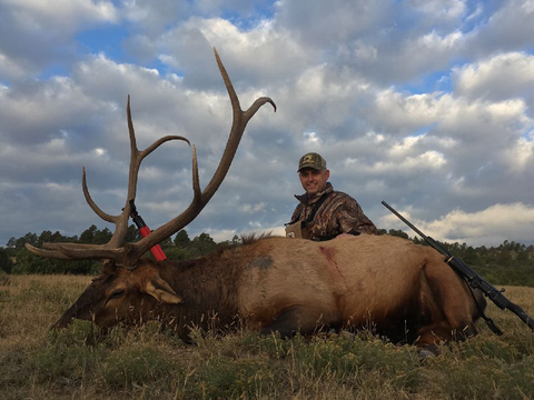 New Mexico Private Land Elk Hunt Guaranteed Tags