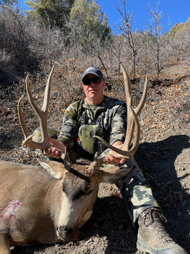 Colorado Trophy Quality Mule Deer