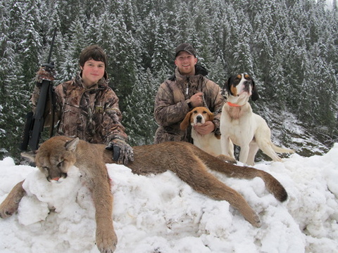 Idaho Cougar Hunt