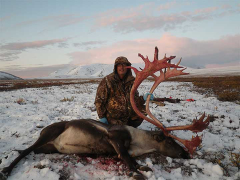 Alaska Non-Migratory Trophy Caribou Hunt