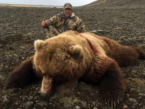 Alaskan Coastal Brown Bear with a Deluxe Yacht Option