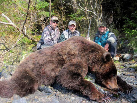 Alaskan Coastal Brown Bear with a Deluxe Yacht Option