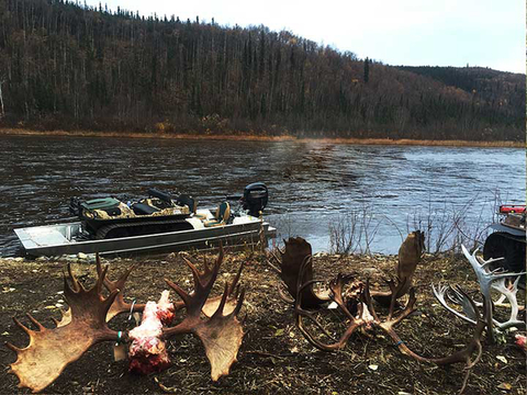 Interior or Coastal Alaska Trophy Moose Hunt