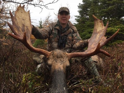 Newfoundland Eastern Canadian Moose Hunt