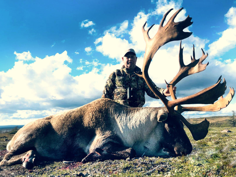 High Success Trophy Woodland Caribou 