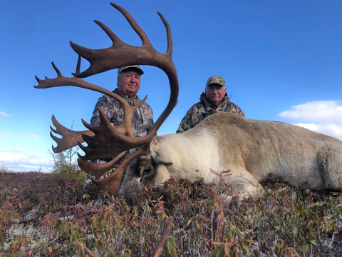 High Success Trophy Woodland Caribou 