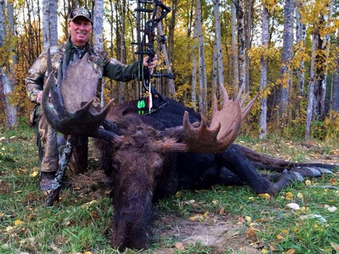 Alberta Canadian Moose