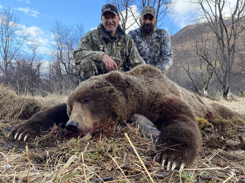 Kodiak Island Alaska Brown Bear