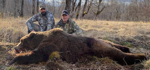 Kodiak Island Alaska Brown Bear