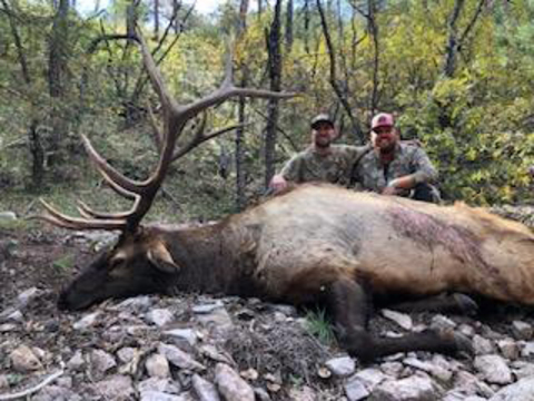 New Mexico Trophy Elk Hunts - Units 16A, 16D, 17, 34 and 36