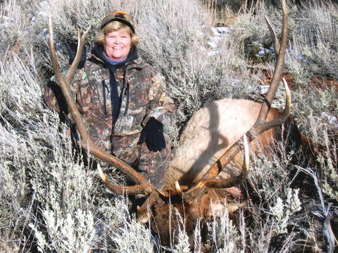 Wyoming Bull Elk Unit 51 just Outside Yellowstone