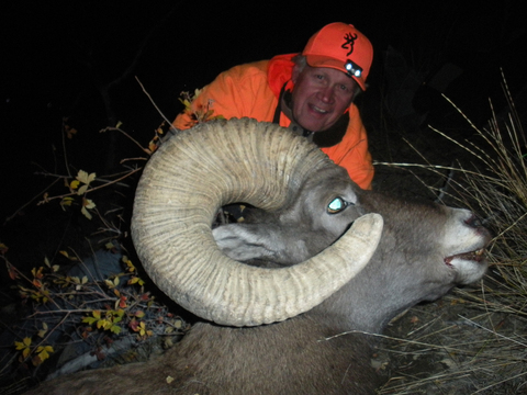 Wyoming Bighorn Sheep - Units 1, 2, 3, 4 and 5