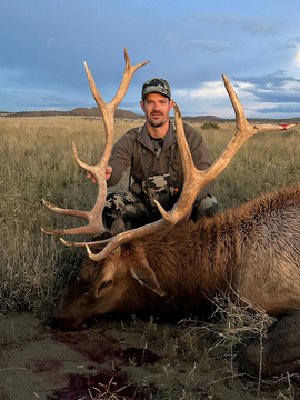 New Mexico Private Land Bull Elk Hunts Unit 12