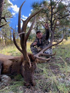 New Mexico Private Land Bull Elk Hunts Unit 12