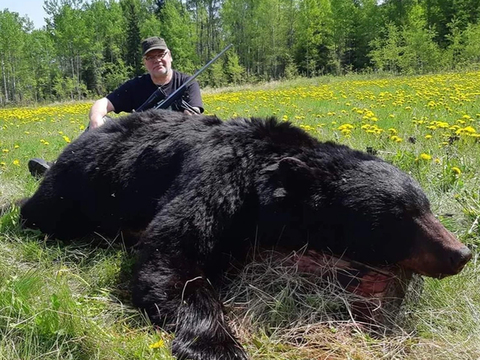 British Columbia Remote Spot and Stalk Black Bear