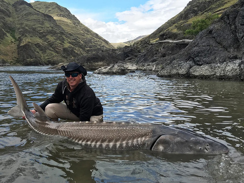 Idaho Hells Canyon Sturgeon, Stealhead, Walleye and Salmon