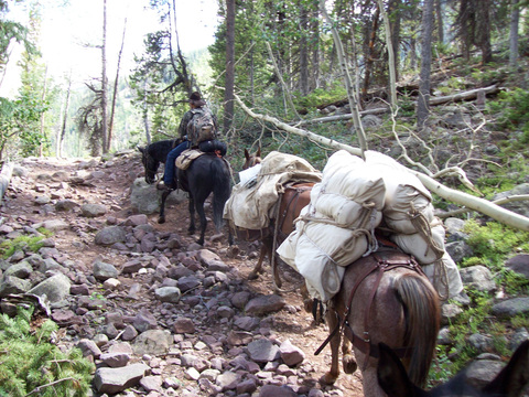 Wilderness Horseback Fishing trips for Grayling, Cutthroat, Brook and Tiger Trout