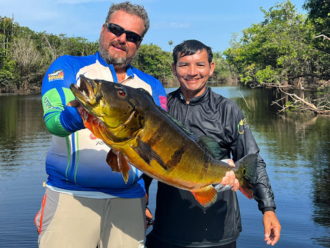 Giant Amazon Peacock Bass