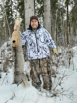 British Columbia Winter Lynx