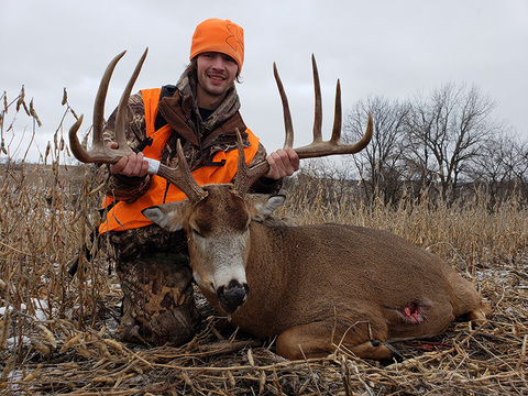 Monster Iowa Whitetail Bucks