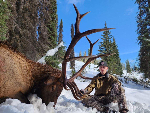 Idaho Horseback Elk Hunt