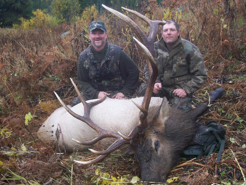 Idaho Horseback Elk Hunt