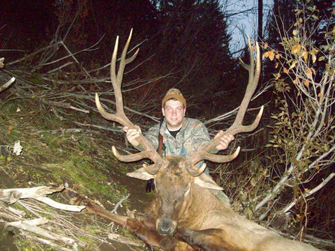 Idaho Horseback Elk Hunt