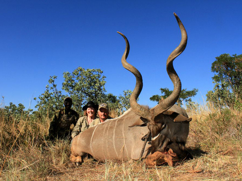 Mozambique Cape Buffalo and Plains Game