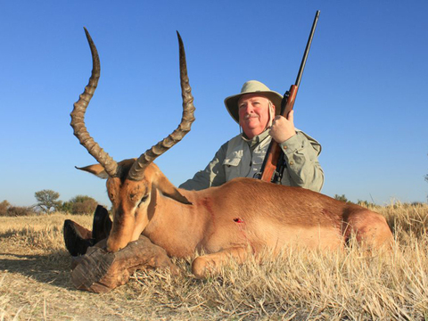 Mozambique Cape Buffalo and Plains Game